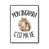 Poster Mon Singapura c'est ma vie