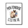 Poster Mon Tonkinois c'est ma vie