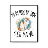 Poster Mon Turc de Van c'est ma vie
