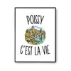 Poster Poissy c’est la vie