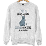 Sweat chat Chartreux m'attend - Planetee