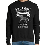 Sweat Cheval Quarantenaire - Planetee