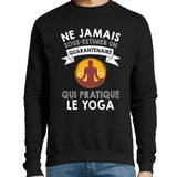 Sweat Yoga Quarantenaire - Planetee
