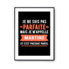 Affiche Martine pas parfaite mais presque pareil - Planetee