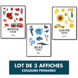 Trio Affiche Éducative Enfant Apprentissage des Couleurs Primaires | Pédagogie Préscolaire - Planetee