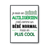 Affiche fier d'être Altiligérien - Planetee