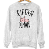 Sweat Chat Sphynx | Je le ferai demain - Planetee