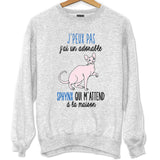 Sweat chat Sphynx m'attend - Planetee