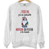 Sweat chat Norvégien m'attend - Planetee