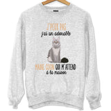 Sweat chat Maine Coon m'attend - Planetee