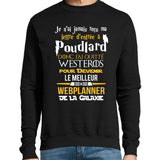 Sweat Webplanner Galaxie - Planetee