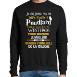 Sweat Gardien D'Immeuble Galaxie - Planetee