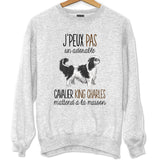 Sweat Cavalier King Charles | Je peux pas - Planetee