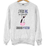 Sweat Chihuahua | Je peux pas - Planetee