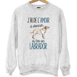 Sweat Labrador Amour - Planetee