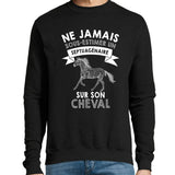 Sweat Cheval Septuagénaire - Planetee