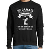 Sweat Volleyball Sexagénaire - Planetee