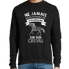 Sweat Cheval Sexagénaire - Planetee