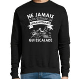 Sweat Escalade Quarantenaire - Planetee