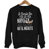 Sweat Norvégien | Je Travaille Dur - Planetee