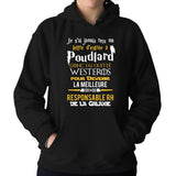 Sweat à capuche Reponsable RH Seigneur des Anneaux GOT - Planetee