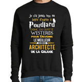 Sweat Architecte Seigneur des Anneaux GOT - Planetee