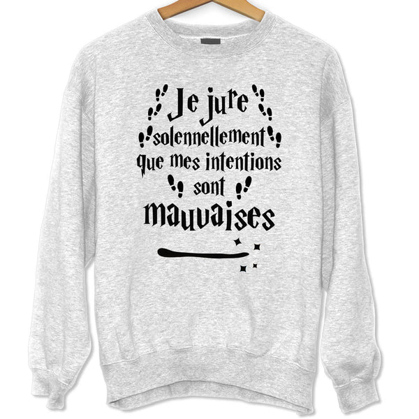 Sweat Je Jure solennellement Que Mes Intentions sont Mauvaises - Planetee