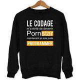 Sweat Le Codage Programmeur Pornstar - Planetee