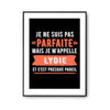 Affiche Lydie pas parfaite mais presque pareil - Planetee