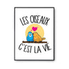 Affiche Oiseaux c'est la vie - Planetee