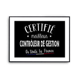 Affiche Contrôleur de gestion Homme Meilleur de France Métier - Planetee
