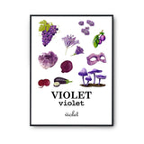 Affiche Éducative Enfant Apprentissage des Couleurs Violet | Pédagogie Préscolaire - Planetee
