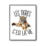 Affiche Tigre c'est la vie - Planetee