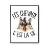 Affiche Chevaux c'est la vie Cavalier et Cavalière - Planetee