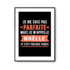 Affiche Noëlle pas parfaite mais presque pareil - Planetee