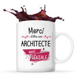 Mug Merci Architecte Géniale - Planetee