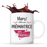 Mug Merci Préparatrice Géniale - Planetee