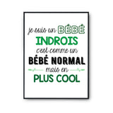 Affiche fier d'être Indrois - Planetee