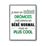 Affiche fier d'être Drômois - Planetee