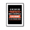 Affiche Liliane pas parfaite mais presque pareil - Planetee