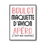 Affiche Maquette d'Avion C'est ma Routine - Planetee