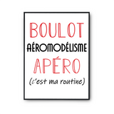 Affiche Aéromodélisme C'est ma Routine - Planetee