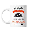 Mug La Réalité est trop dure Je me barre au Pays Imaginaire - Peter Pan - Planetee