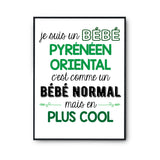 Affiche fier d'être Pyrénéen Oriental - Planetee