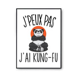 Affiche Kung -fu j'peux pas Blanc Premium - Planetee