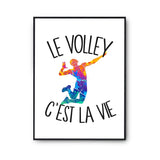 Affiche Volley c'est la vie Volleyeur et Volleyeuse - Planetee