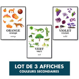 Trio Affiche Éducative Enfant Apprentissage des Couleurs Secondaires | Pédagogie Préscolaire - Planetee