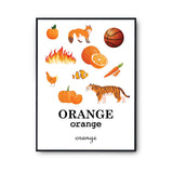 Affiche Éducative Enfant Apprentissage des Couleurs Orange | Pédagogie Préscolaire - Planetee