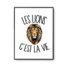 Affiche Lion c'est la vie - Planetee