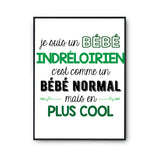 Affiche fier d'être Indréloirien - Planetee